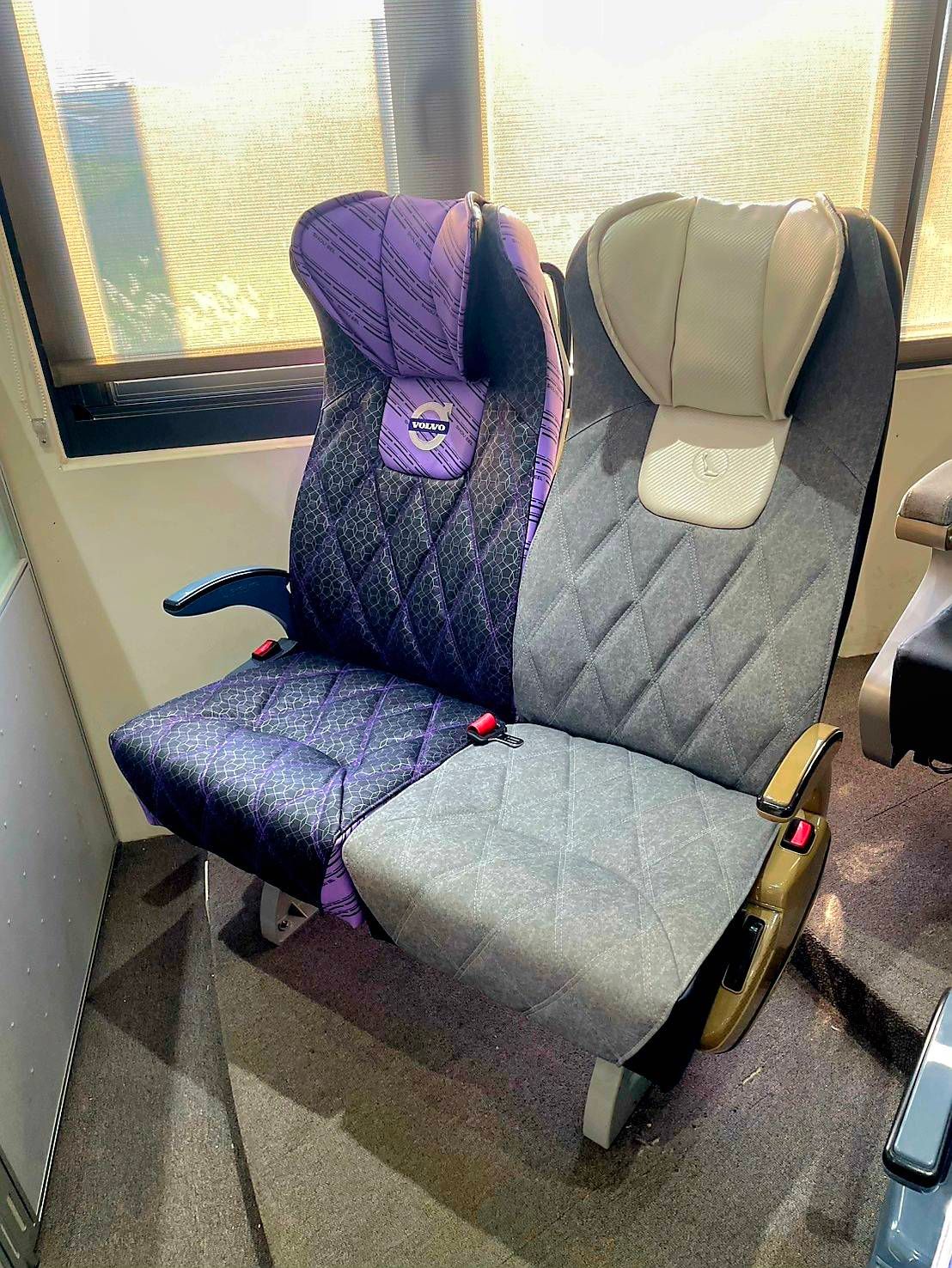 83059.jpg